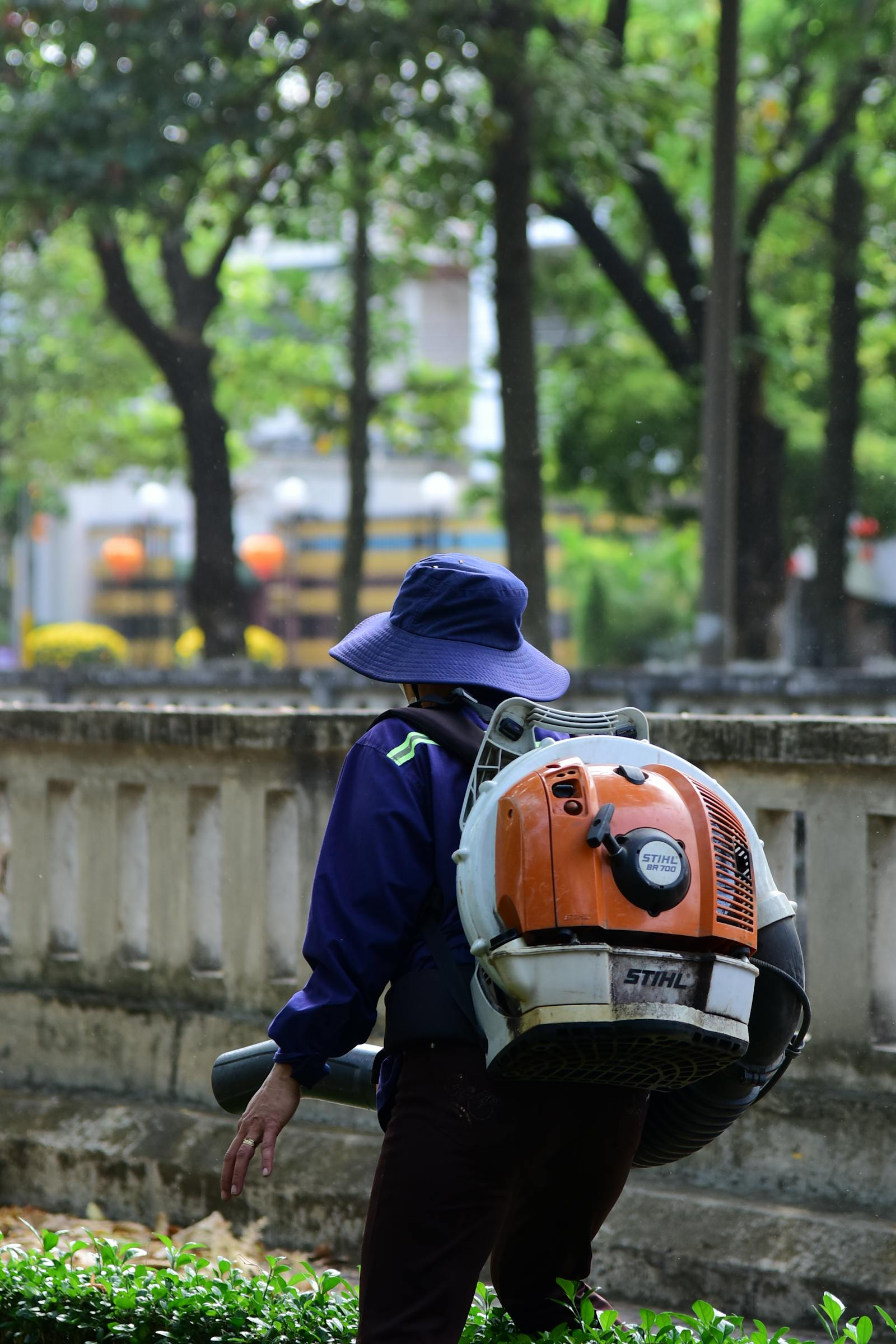 Backpack-blower clearing oak leaves into a tidy pile on a residential lawn.